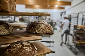 Zentralverband des Deutschen B&auml;ckerhandwerks e.V.: Koalitionsausschuss setzt wichtige Signale f&uuml;r das B&auml;ckerhandwerk
