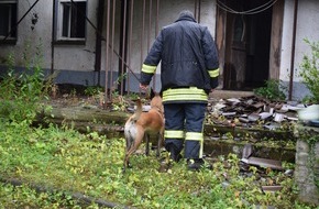 Polizeiinspektion Nienburg / Schaumburg: POL-NI: Rinteln-Polizei setzt Spezialhund am Brandort ein