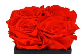 Kaufland: Für besondere Anlässe: Rosen für die Ewigkeit