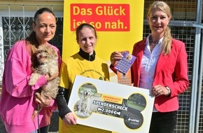S&auml;chsische Lotto-GmbH: Das neuen "Lucky Dog"-Los bringt Gl&uuml;ck in Sachsens Tierheime