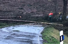 Freiwillige Feuerwehr Lügde: FW Lügde: Mehrere umgestürzte Bäume beschäftigen Feuerwehr Lügde