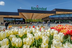 Pressebericht: 70 Jahre Keukenhof - Eröffnung der Saison am 21.03.2019
