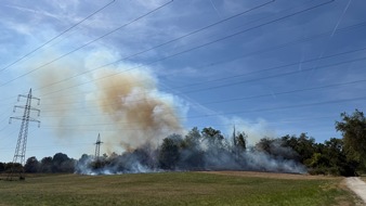 Feuerwehr MTK: Großeinsatz bei Vegetationsbrand in Hattersheim: Mehr als 200 Einsatzkräfte bekämpfen ausgedehnten Wiesen- und Waldbrand - umfangreiche Nachlöscharbeiten dauern an