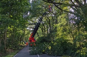 Feuerwehr Mülheim an der Ruhr: FW-MH: Herabgestürzter Ast blockiert Straße