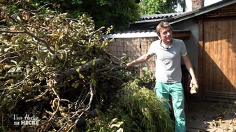 RTLZWEI: Diese Woche bei "Von Hecke zu Hecke - Bunte Beetgeschichten": Sturmtief sorgt für Verwüstung in der Kleingartenanlage Berlin-Bornholm