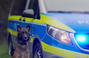 Polizei Hagen: POL-HA: Einbrecher mithilfe von Polizeihubschrauber und Diensthund Turbo gefasst