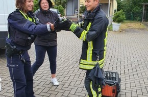 Polizei Dortmund: POL-DO: Polizei rettet Küken - freilaufende Gänsefamilie trägt maßgeblich zu Verkehrsproblemen in Kirchhörde bei