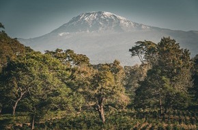 Tchibo GmbH: Safari trifft Kaffee: Die Schönheit der Tierwelt Tansanias erleben und besten Kaffee kennenlernen