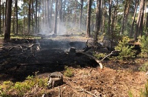 Polizeidirektion Landau: POL-PDLD: Erneuter Waldbrand - Zeugen gesucht