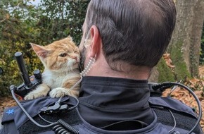 Polizeidirektion Kiel: POL-KI: 251104.2 Preetz: Wer vermisst diese neugierige Fellnase?