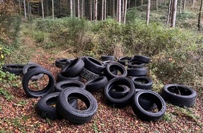 Polizeidirektion Landau: POL-PDLD: Reifenstapel entsorgt