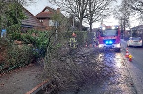 Freiwillige Feuerwehr Gemeinde Schiffdorf: FFW Schiffdorf: Baum blockiert Straße und Gehweg