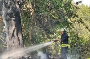 Freiwillige Feuerwehr der Gemeinde Alfter: FW Alfter: Flächenbrand in Alfter-Witterschlick