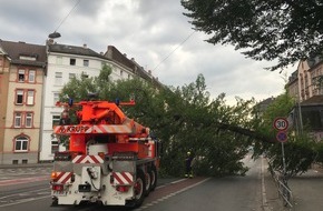 Feuerwehr Frankfurt am Main: FW-F: Baum umgestürzt, ragt auf eine Kreuzung, droht Oberleitung abzureißen