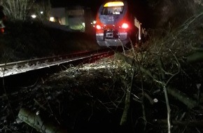Freiwillige Feuerwehr Menden: FW Menden: Personenzug kollidiert im Hönnetal mit umgestürzten Baum