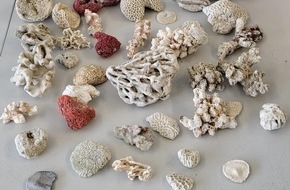 Hauptzollamt München: HZA-M: Zoll beschlagnahmt über 7 Kilogramm artengeschützter Korallen am Münchner Flughafen