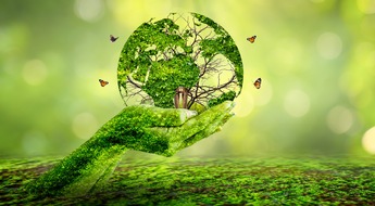 goodRanking Online Marketing Agentur: Die Bedeutung von Bäumen für ein besseres Stadtklima