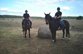 Polizeiinspektion Celle: POL-CE: Polizeireiter im Naturpark Südheide