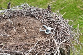 Polizeiinspektion Lüneburg/Lüchow-Dannenberg/Uelzen: POL-LG: ++ Storchennest mit Drohne gestört - Tiere verlassen das Nest ++ Monitore und Empfänger aus landwirtschaftlichen Maschinen gestohlen ++ Alkoholisierte Radfahrerin von Zeugen ...
