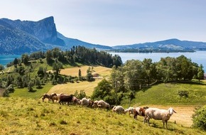 Tourismusverband Mondsee-Irrsee: Bio-Erlebnistage im Naturpark Bauernland / Irrsee Mondsee Attersee