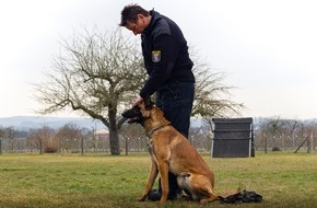 Polizeipräsidium Mittelhessen - Pressestelle Gießen: POL-GI: Ghost, Luna, Bones, Pepe und Ted - Neue Azubis beim Polizeipräsidium Mittelhessen - Vierbeiner im Prüfungsstress