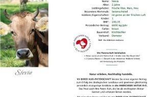 Andechser Molkerei Scheitz GmbH: Ein "Muuuh" unterm Weihnachtsbaum: Die Kuhpatenschaft von ANDECHSER NATUR (BILD)