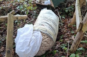 Polizeipr&auml;sidium Ulm: POL-UL: (BC) Ingoldingen - Tierabf&auml;lle am Waldrand entsorgt / Am Montag fand eine Spazierg&auml;ngerin bei Ingoldingen S&auml;cke mit Tierresten eines Schafes. Die hatte ein Unbekannter in den vergangen Tagen entsorgt.