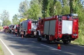 Freiwillige Feuerwehr Reichenau: FW Reichenau: Flächenbrand im Wollmatinger Ried Schnelles Eingreifen der Feuerwehr verhindert Schlimmeres Reichenau, L221, Wollmatinger Ried, 18.08.2023