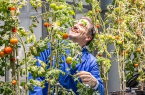 Albert-Ludwigs-Universit&auml;t Freiburg: Schl&uuml;sselprotein SYFO2 erm&ouml;glicht &bdquo;Selbstd&uuml;ngung&ldquo; von H&uuml;lsenfr&uuml;chten