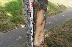 Kreispolizeibehörde Olpe: POL-OE: Bei Wendevorgang gegen Baum gefahren - 61-Jähriger verletzt sich