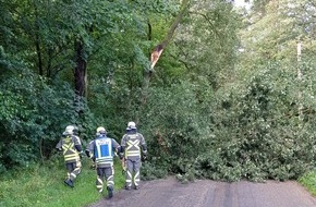 Freiwillige Feuerwehr Hünxe: FW Hünxe: Umgestürzter Baum blockiert den Krudenburger Weg