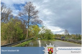 Polizeidirektion Neustadt/Weinstraße: POL-PDNW: Polizeiautobahnstation Ruchheim - Baum blockiert kurzzeitig die B9 in Richtung Speyer