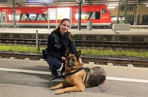 Bundespolizeiinspektion Konstanz: BPOLI-KN: Allein im Zug - Bundespolizei nimmt Schäferhündin in Obhut