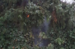 Feuerwehr der Stadt Arnsberg: FW-AR: Da brennt der Baum: Feuerwehr löscht Tanne mit Schnellangriff!