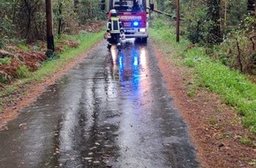 Feuerwehr Schermbeck: FW-Schermbeck: Baum auf Strom- und Telefonleitung