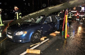 Kreispolizeibehörde Höxter: POL-HX: Baum stürzt auf Fahrbahn - Vier Personen leicht verletzt