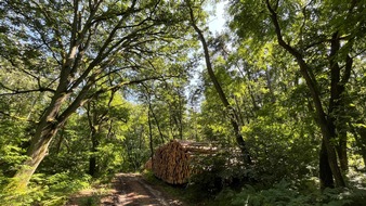 Deutsche Säge- und Holzindustrie Bundesverband e. V. (DeSH): Aufbruch für Klimaschutz in Hessen