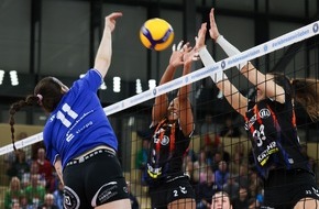 VC Wiesbaden Spielbetriebs GmbH: VCW will die Stuttgarter Allianz ärgern