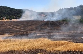 Polizeidirektion Kaiserslautern: POL-PDKL: Flächenbrand