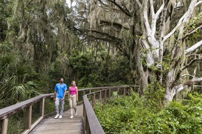 Von smaragdgrünen Quellen bis zu geschützten Küstenlandschaften: Floridas authentische Naturerlebnisse entdecken