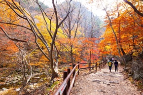 Mehr als Meetings: Vier einzigartige Teambuilding-Formate in S&uuml;dkorea