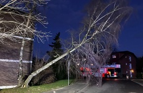 Feuerwehr Bergheim: FW Bergheim: Mehrere Sturmeinsätze für die Feuerwehr Bergheim Sieben Einsätze im Stadtgebiet - Bäume auf Fahrzeuge gestürzt