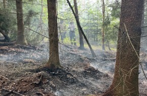 Feuerwehr Detmold: FW-DT: Fl&auml;chenbrand im Leistruper Wald