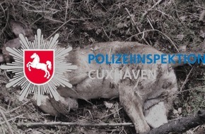 Polizeiinspektion Cuxhaven: POL-CUX: Unbekannter legt getöteten Hund in Waldstück ab