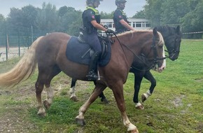 Polizeidirektion Osnabrück: POL-OS: Osnabrück: Erfolgreiche Rückkehr von "Tough like a Cop" bei neuer Azubimesse