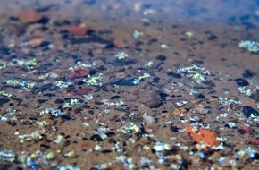BAM Bundesanstalt für Materialforschung und -prüfung: BAM-Forschungsprojekt will Mikroplastik im Wasser genauer Nachweisen