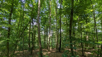 Deutsche S&auml;ge- und Holzindustrie Bundesverband e. V. (DeSH): Klimaschutzprogramm 2026 der Bundesregierung