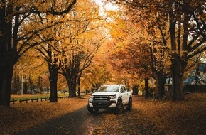 Oehler Web: Jetzt Ihren SUV verkaufen – Der perfekte Zeitpunkt im Herbst!