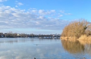 Polizeipräsidium Mannheim: POL-MA: Mannheim-Rheinau: Vandalismus am Rheinauer See - Bäume mit Schutzhalterung herausgerissen - Mülleimer in See geworfen