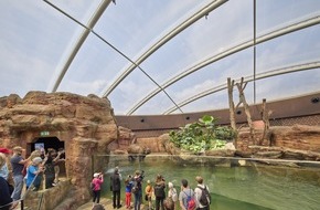 REHAU Industries SE & Co. KG: REHAU: Leichtgewicht AWASCHACHT zieht in neue Nashorn-Pagode ein